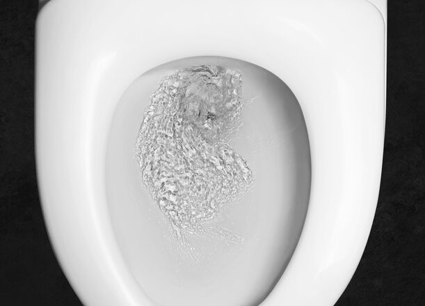 clogged toilet