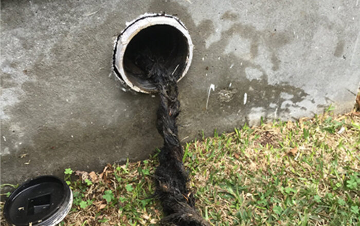 clogged drains